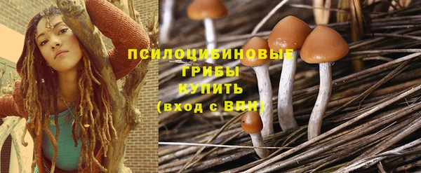 spice Вяземский