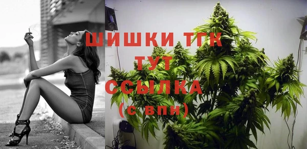 spice Вяземский