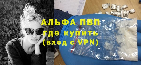 spice Вяземский