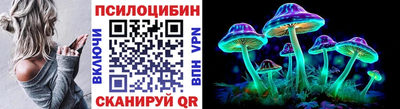 Купить Благодарный Галлюциногенные грибы мицелий