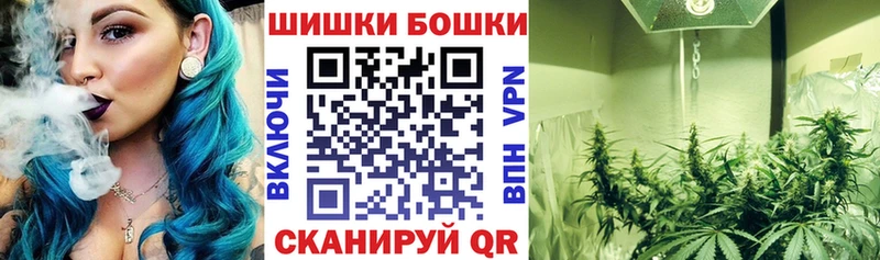 Купить где  Благодарный  Бошки марихуана марихуана 